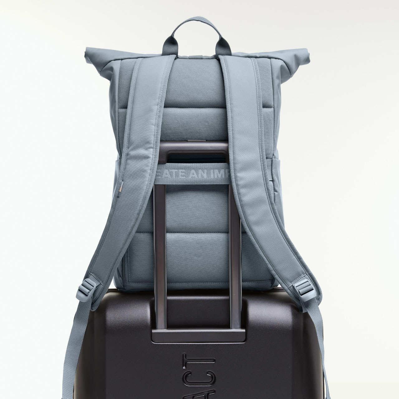 GOT BAG Rolltop easy marlin mono Kofferstrap